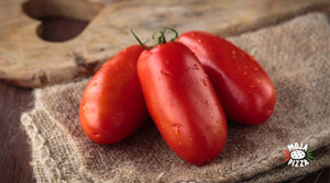 Zakaj dodati San Marzano na svojo pico?