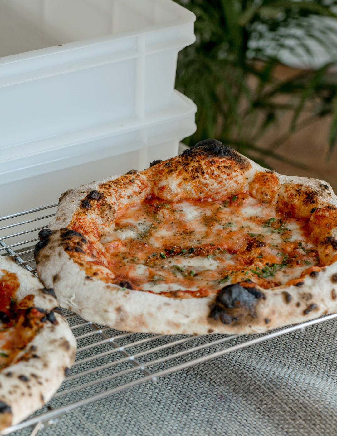 PRIPOMOČKI ZA PEKO DOMA